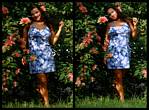 (18) blue montage.jpg    (1000x740)    451 KB                              click to see enlarged picture