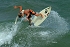 Volcom Bushfish Surf Contest - afternoon surfing shots 3
